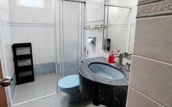 Jervois Lodge (D10), Condominium #514539131